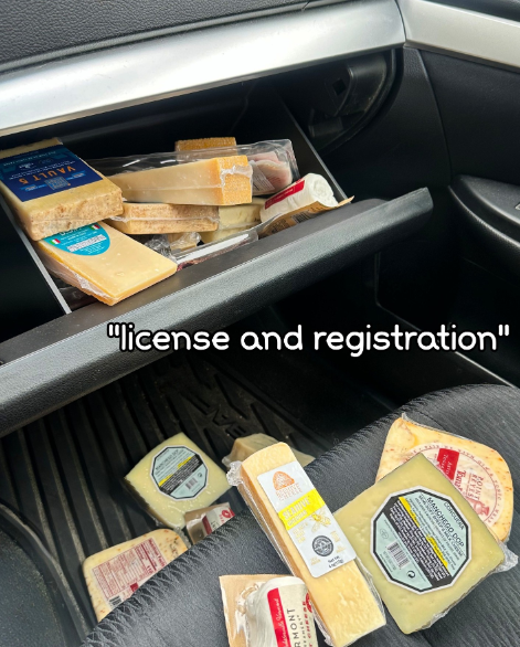 VAULT 5 license and registration" MANCHEGO DOP INOWI