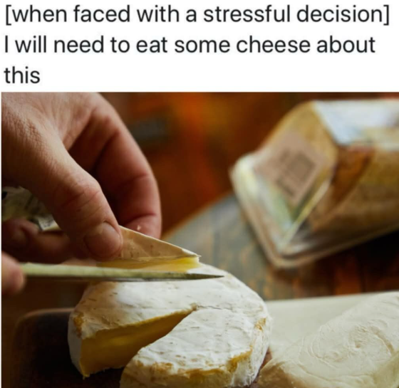 [when faced with a stressful decision] I will need to eat some cheese about this