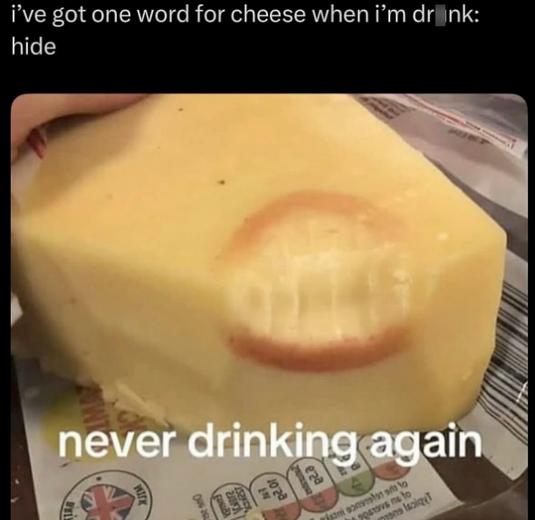 KIR i've got one word for cheese when i'm drink: hide never drinking again Wirk sni sonata a to 20419vs ns to mans soiqe T
