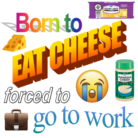 Born to rBST COLBY JACK GOOD EAT CHEESE forced to PARMESAN CHEESE SKATED go to work