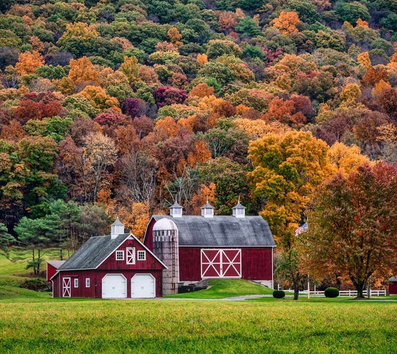 A view of a red farmhouse and bar nestled in between hills with autumn foliage (stock).