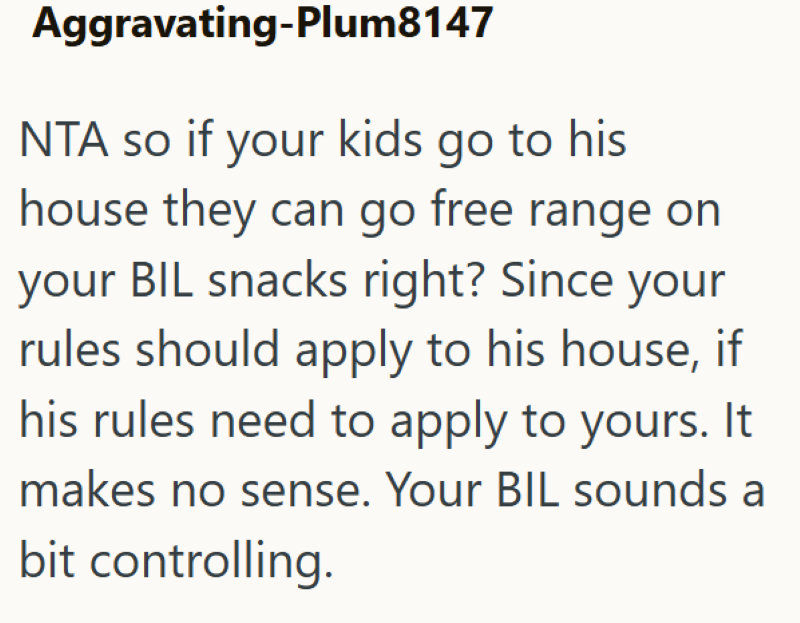 Aggravating-Plum8147 NTA so if your kids go to his house they can go free range on your BIL snacks right? Since your rules should apply to his house, if his rules need to apply to yours. It makes no sense. Your BIL sounds a bit controlling.