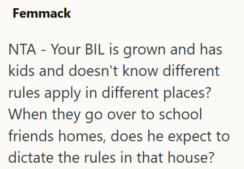 Femmack NTA - Your BIL is grown and has kids and doesn't know different rules apply in different places? When they go over to school friends homes, does he expect to dictate the rules in that house?