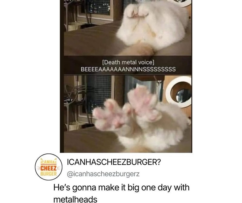 [Death metal voice] BEEEEAAAAAAANNNNSSSSSSSSS CANHAS CHEEZ BURGER ICANHASCHEEZBURGER? @icanhascheezburgerz He's gonna make it big one day with metalheads