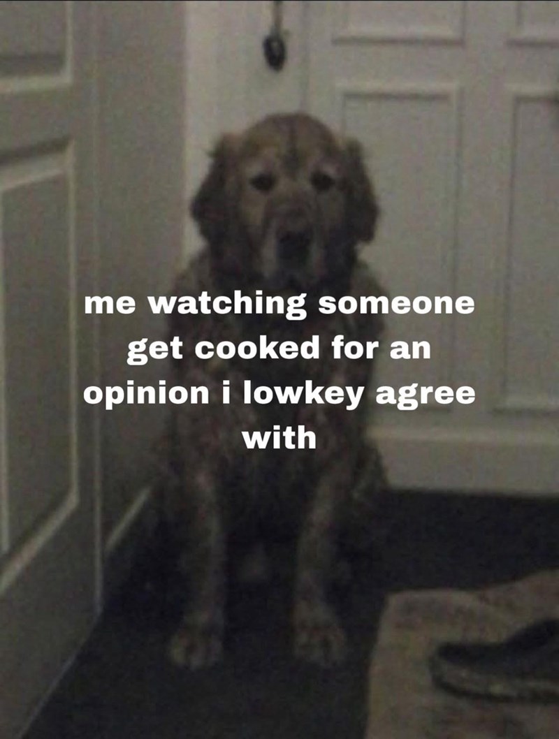 me watching someone get cooked for an opinion i lowkey agree with
