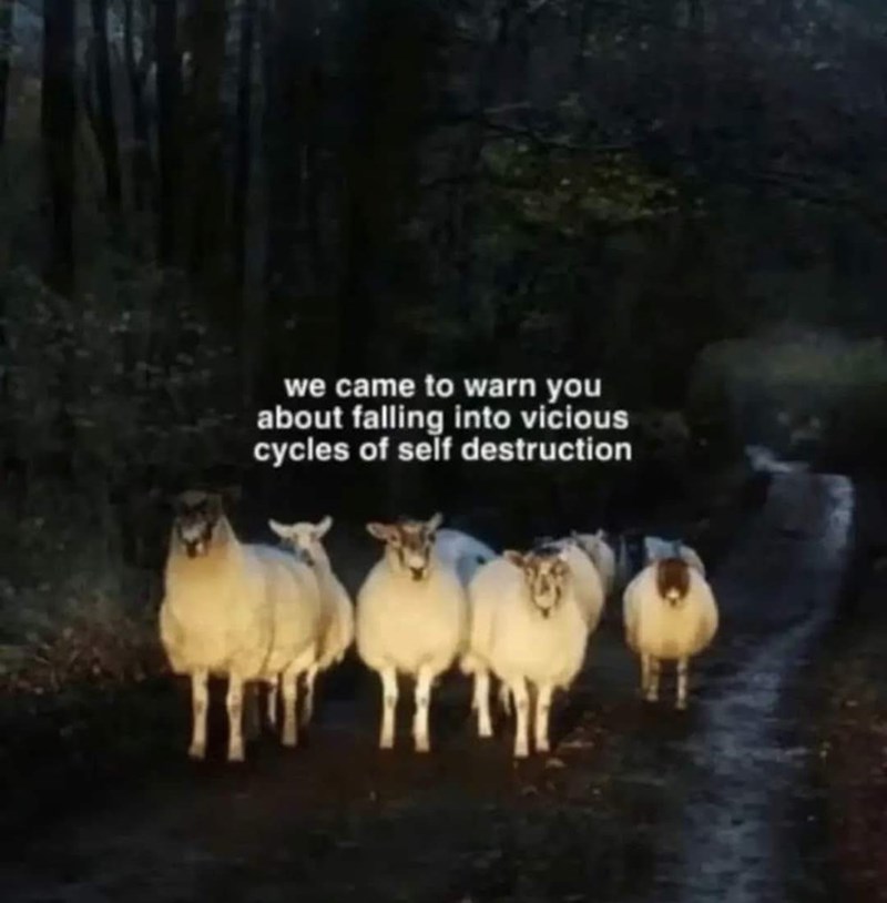 we came to warn you about falling into vicious cycles of self destruction