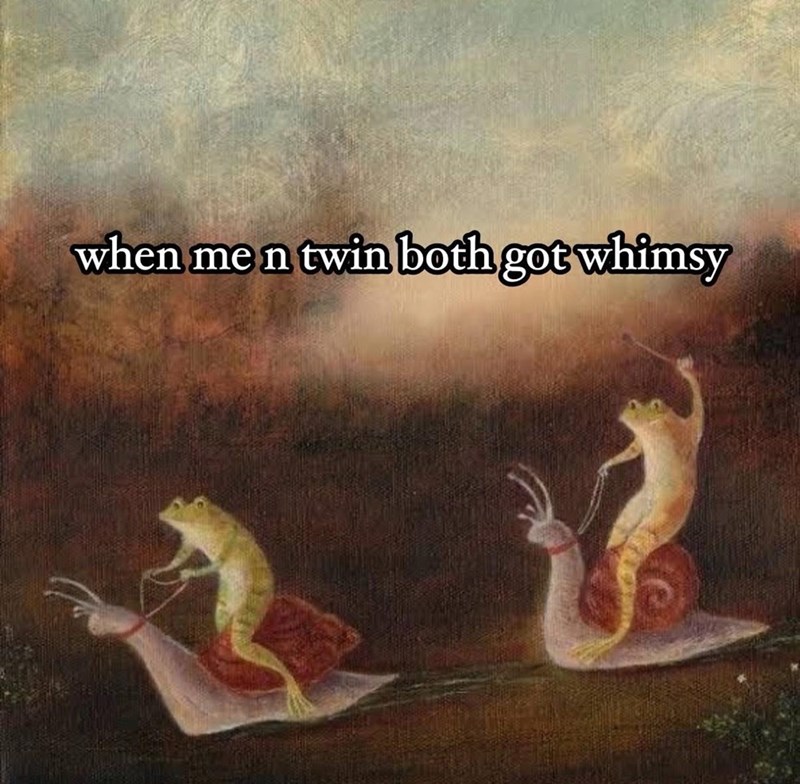 when me n twin both got whimsy