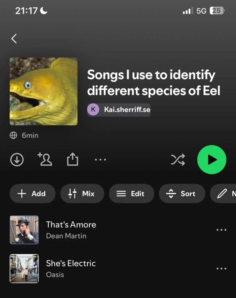 21:17 < 5G 25 Songs I use to identify different species of Eel K Kai.sherriff.se 6min + Add ++ Mix =Edit oasis That's Amore Dean Martin She's Electric Oasis × 슨 Sort N
