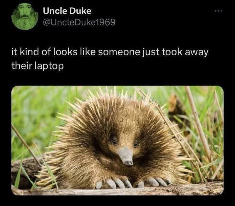 Uncle Duke @UncleDuke1969 it kind of looks like someone just took away their laptop
