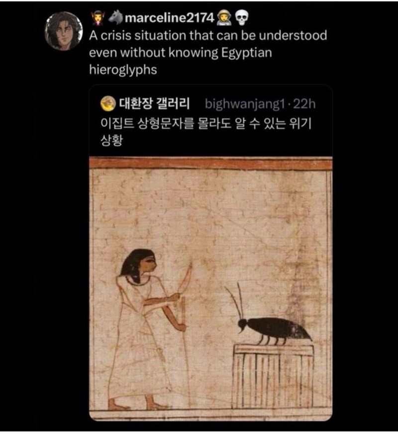 marceline2174 A crisis situation that can be understood even without knowing Egyptian hieroglyphs bighwanjang1.22h 이집트 상형문자를 몰라도 알 수 있는 위기 상황