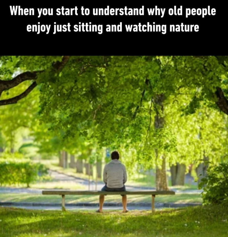 When you start to understand why old people enjoy just sitting and watching nature