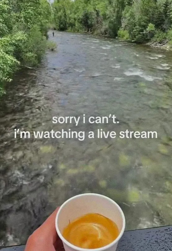 sorry i can't. i'm watching a live stream