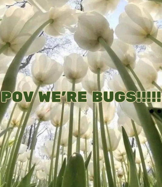 POV WE'RE BUGS!!!!!