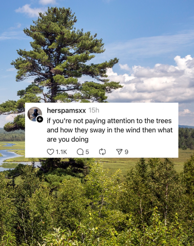 herspamsxx 15h if you're not paying attention to the trees and how they sway in the wind then what are you doing 1.1K Q5 ▼ 9