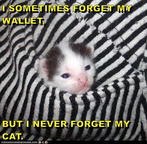 Cheezburger Image 10638200576