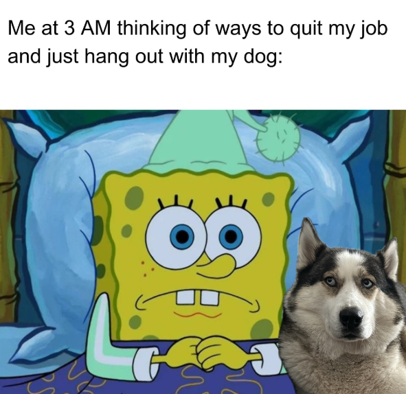Me at 3 AM thinking of ways to quit my job and just hang out with my dog: