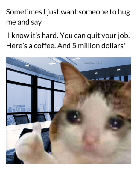 Sometimes I just want someone to hug me and say 'I know it's hard. You can quit your job. Here's a coffee. And 5 million dollars' @WallStreetOasis