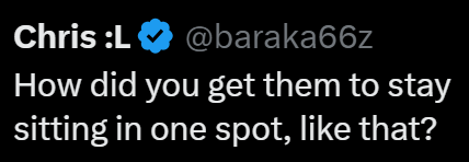 Chris :L @baraka66z How did you get them to stay sitting in one spot, like that?