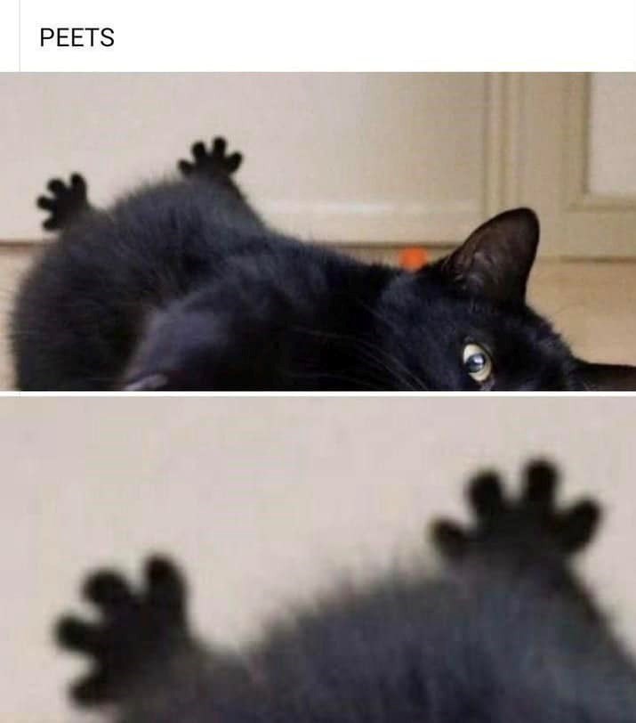 PEETS