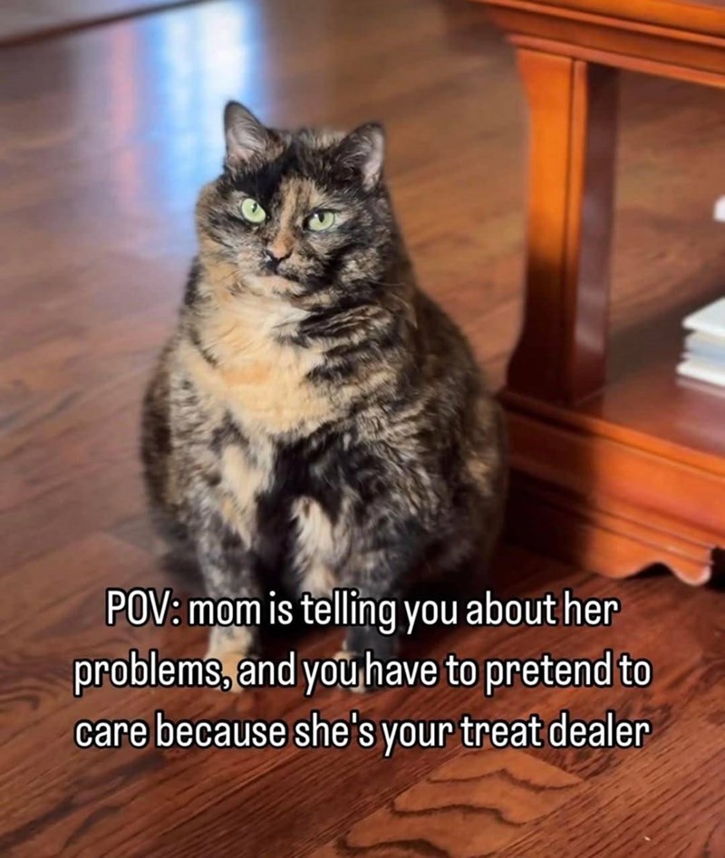 POV: mom is telling you about her problems, and you have to pretend to care because she's your treat dealer