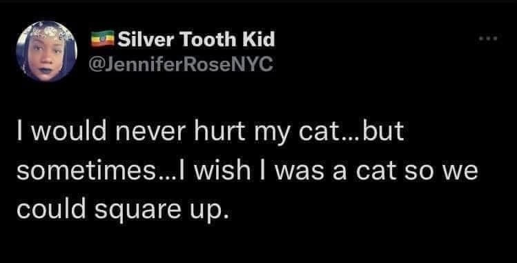 Silver Tooth Kid @JenniferRoseNYC I would never hurt my cat...but sometimes...I wish I was a cat so we could square up.