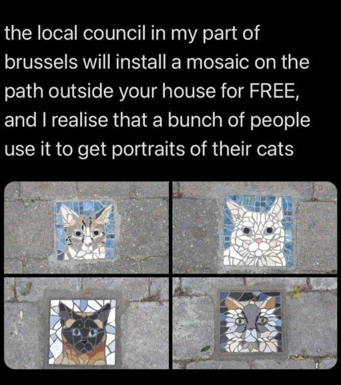 the local council in my part of brussels will install a mosaic on the path outside your house for FREE, and I realise that a bunch of people use it to get portraits of their cats