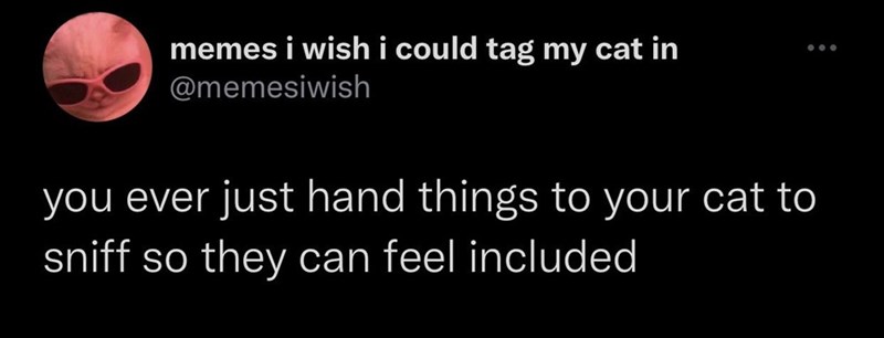 memes i wish i could tag my cat in @memesiwish you ever just hand things to your cat to sniff so they can feel included