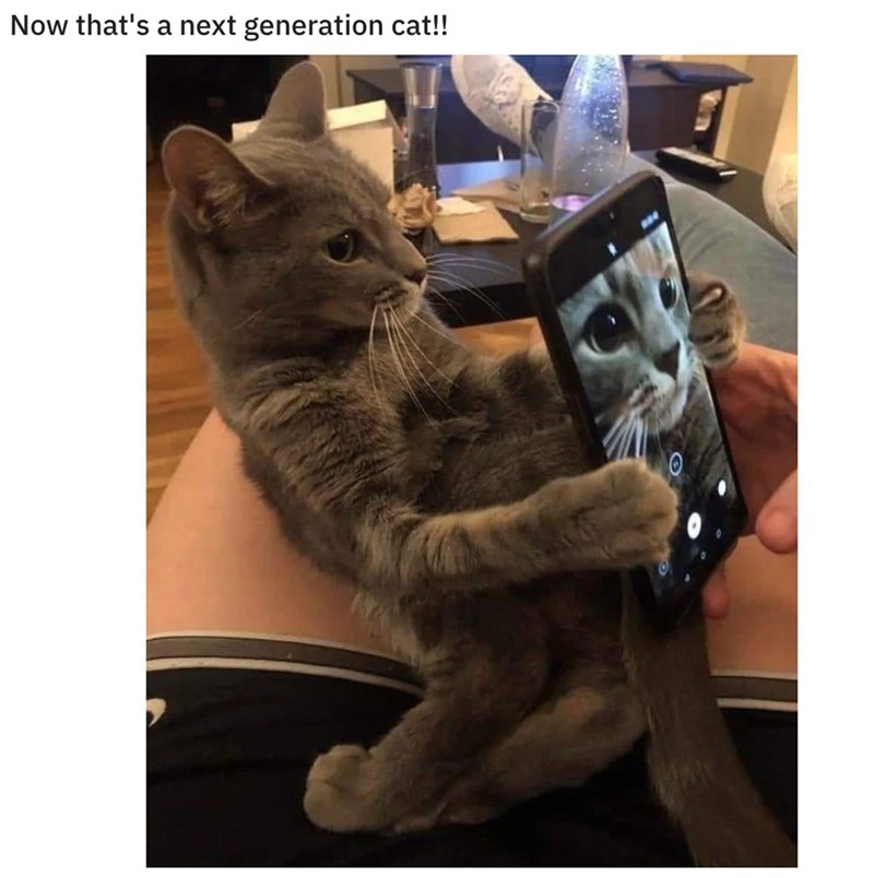 Now that's a next generation cat!!
