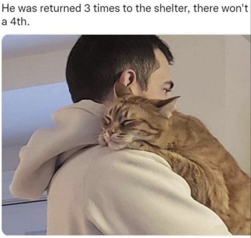 He was returned 3 times to the shelter, there won't a 4th.