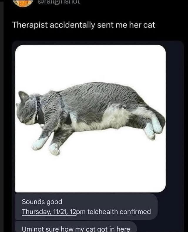 @ranginshoL Therapist accidentally sent me her cat Sounds good Thursday, 11/21, 12pm telehealth confirmed Um not sure how my cat got in here