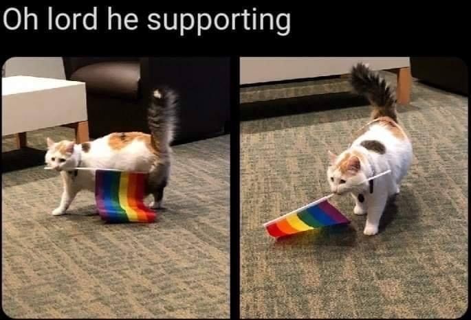 Oh lord he supporting