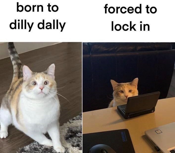 SAMSONG born to dilly dally forced to lock in
