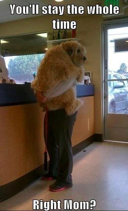 You'll stay the whole time Right Mom?
