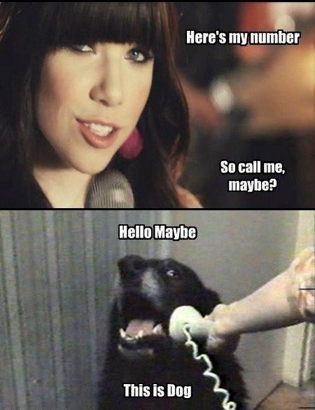 Here's my number Hello Maybe This is Dog So call me, maybe?