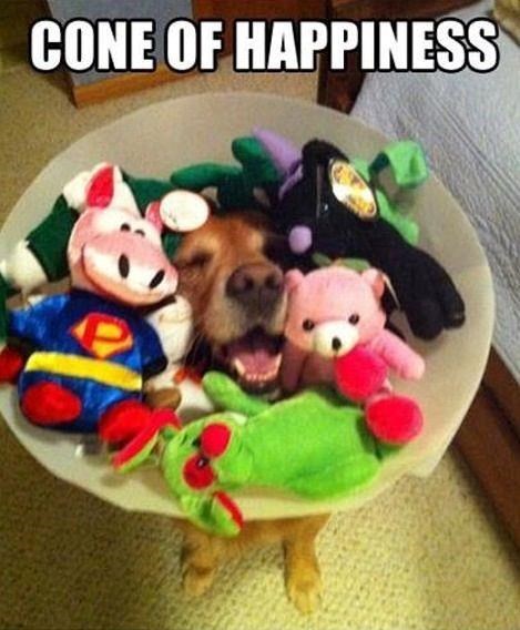 CONE OF HAPPINESS
