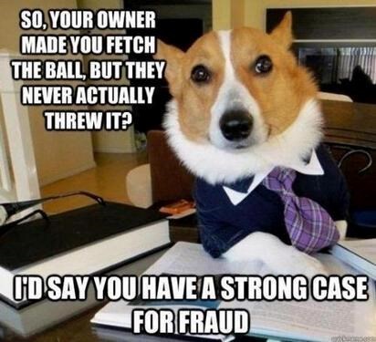 SO, YOUR OWNER MADE YOU FETCH THE BALL, BUT THEY NEVER ACTUALLY THREW IT? FD SAY YOU HAVE A STRONG CASE FOR FRAUD