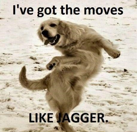 I've got the moves LIKE JAGGER.