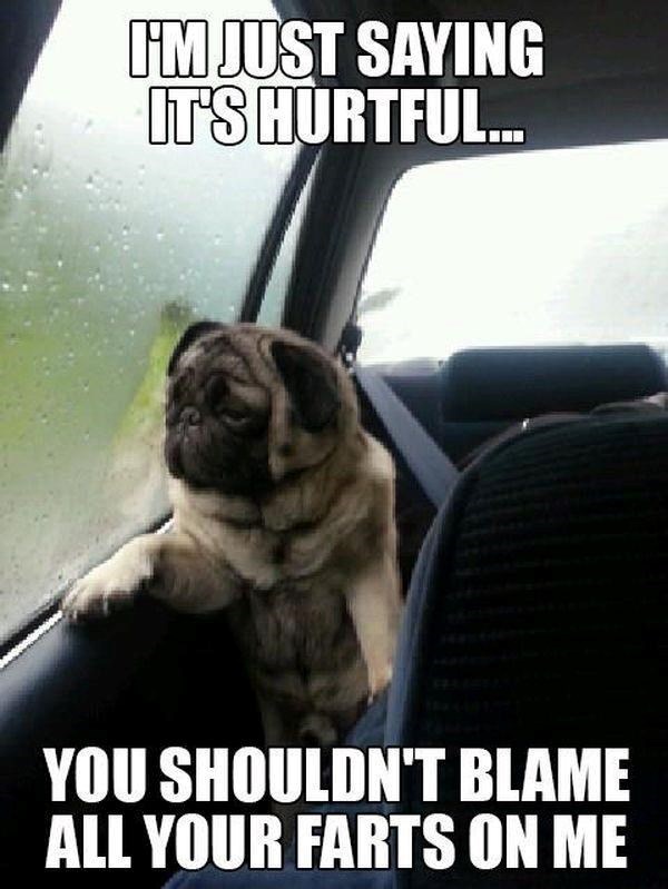 I'M JUST SAYING IT'S HURTFUL... YOU SHOULDN'T BLAME ALL YOUR FARTS ON ME