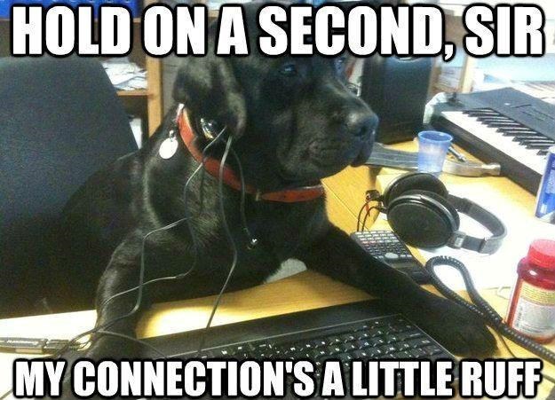 HOLD ON A SECOND, SIR MY CONNECTION'S A LITTLE RUFF