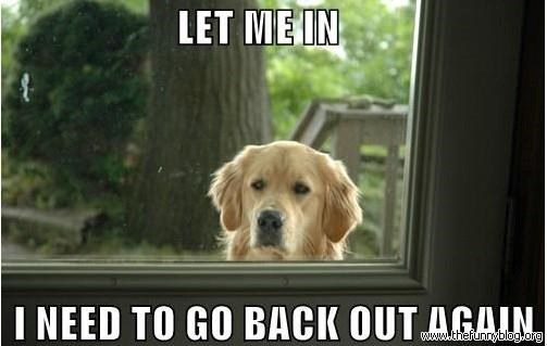 LET ME IN I NEED TO GO BACK OUT AGAIN