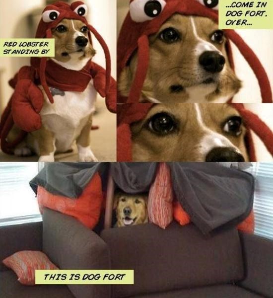 RED LOBSTER STANDING BY THIS IS DOG FORT ...COME IN DOG FORT. OVER...