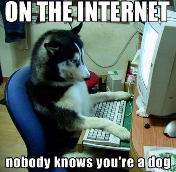 ON THE INTERNET nobody knows you're a dog