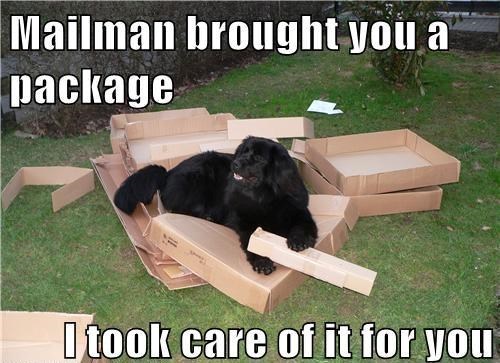 Mailman brought you a package I took care of it for you
