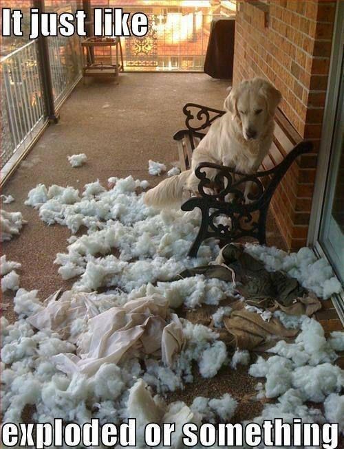 It just like exploded or something