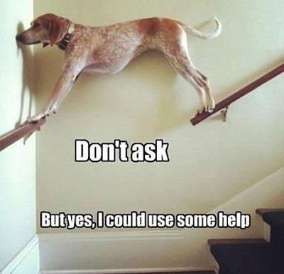 Don't ask But yes, I could use some help