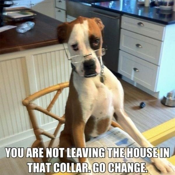 YOU ARE NOT LEAVING THE HOUSE IN THAT COLLAR. GO CHANGE.