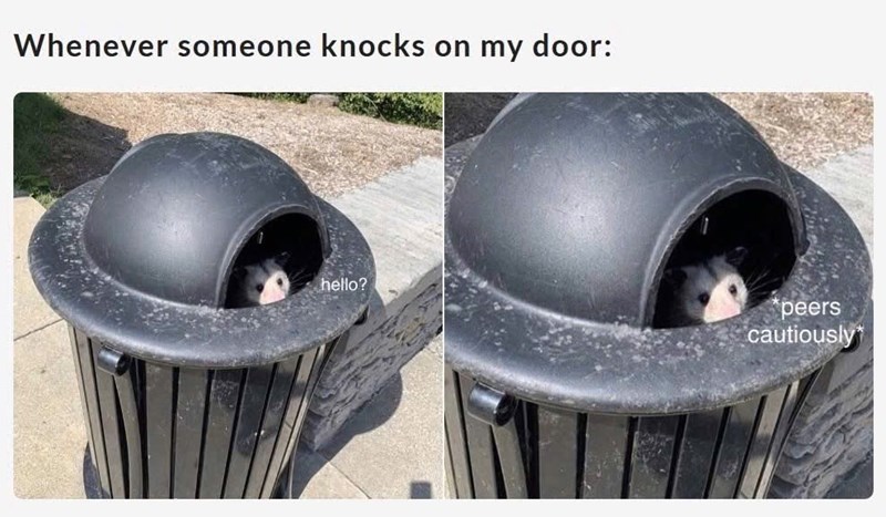 Whenever someone knocks on my door: hello? peers cautiously