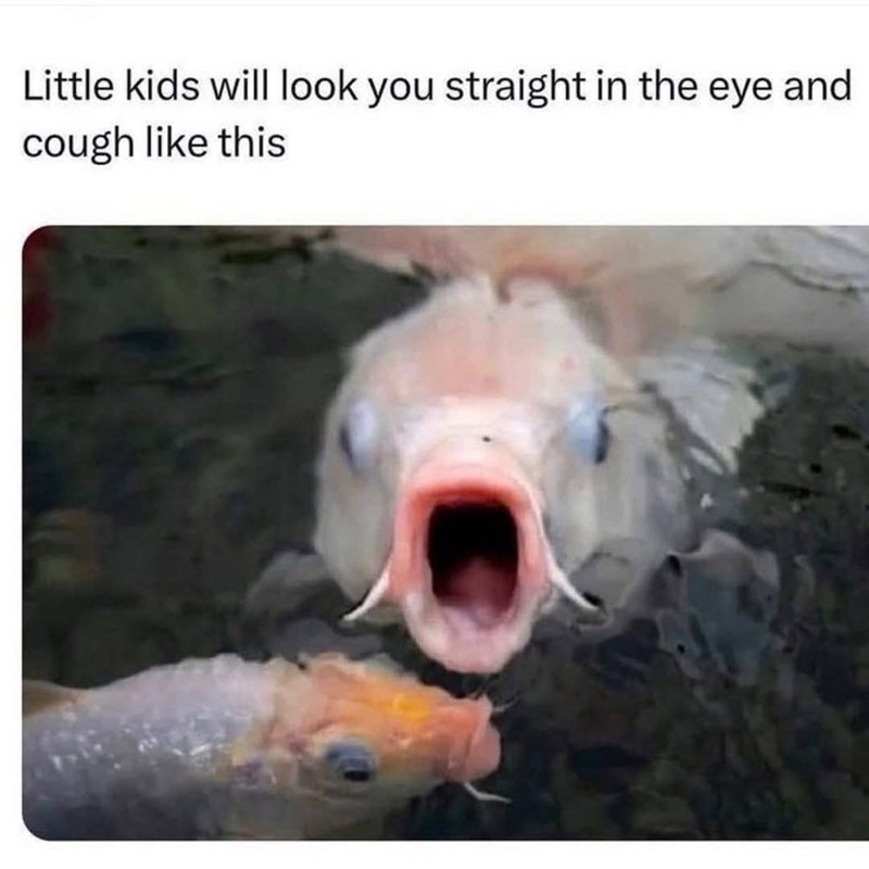 Little kids will look you straight in the eye and cough like this