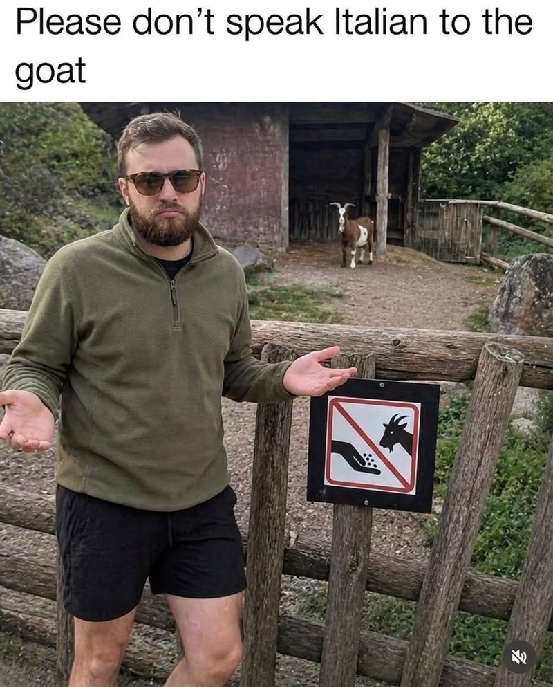 Please don't speak Italian to the goat K