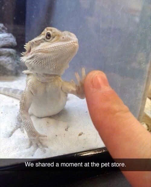 We shared a moment at the pet store.